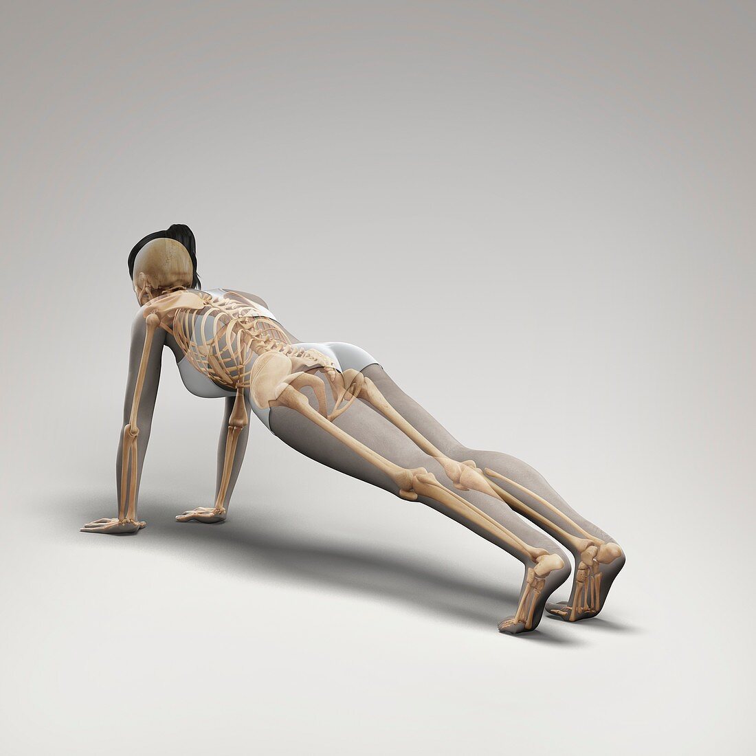 Yoga Plank Pose, artwork