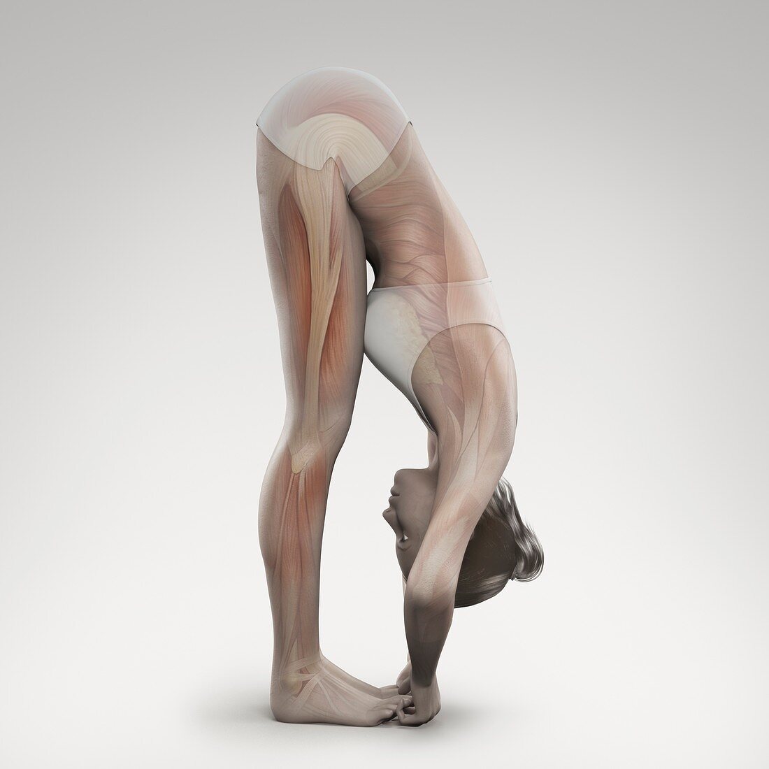 Yoga Big Toe Pose, artwork