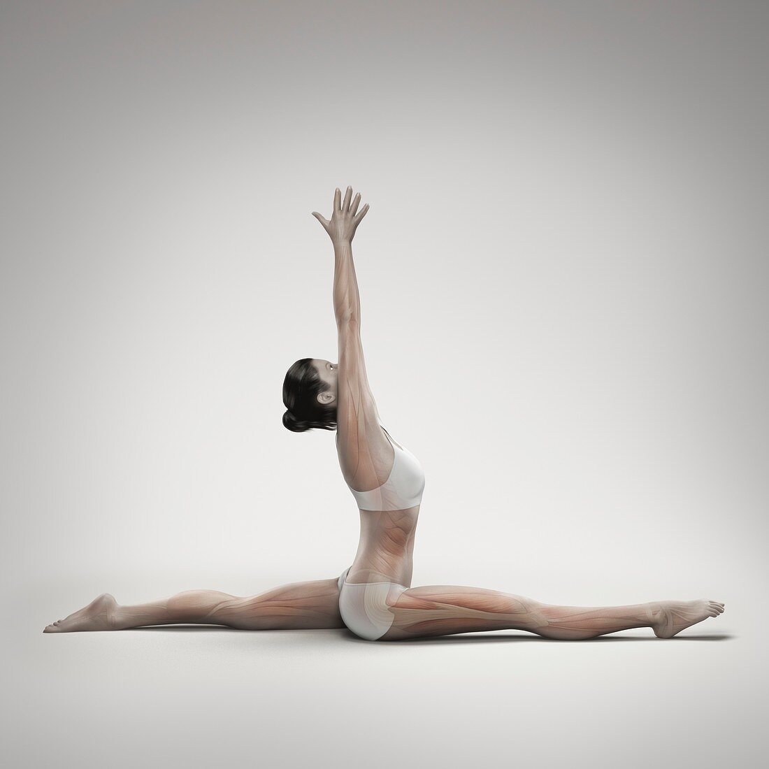 Yoga Monkey Pose, artwork