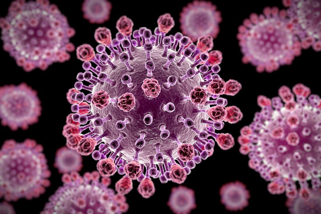 H1N1 Swine Influenza Virus Particles