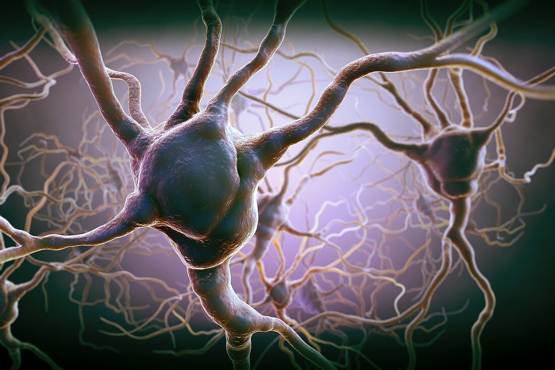 Neuron, artwork