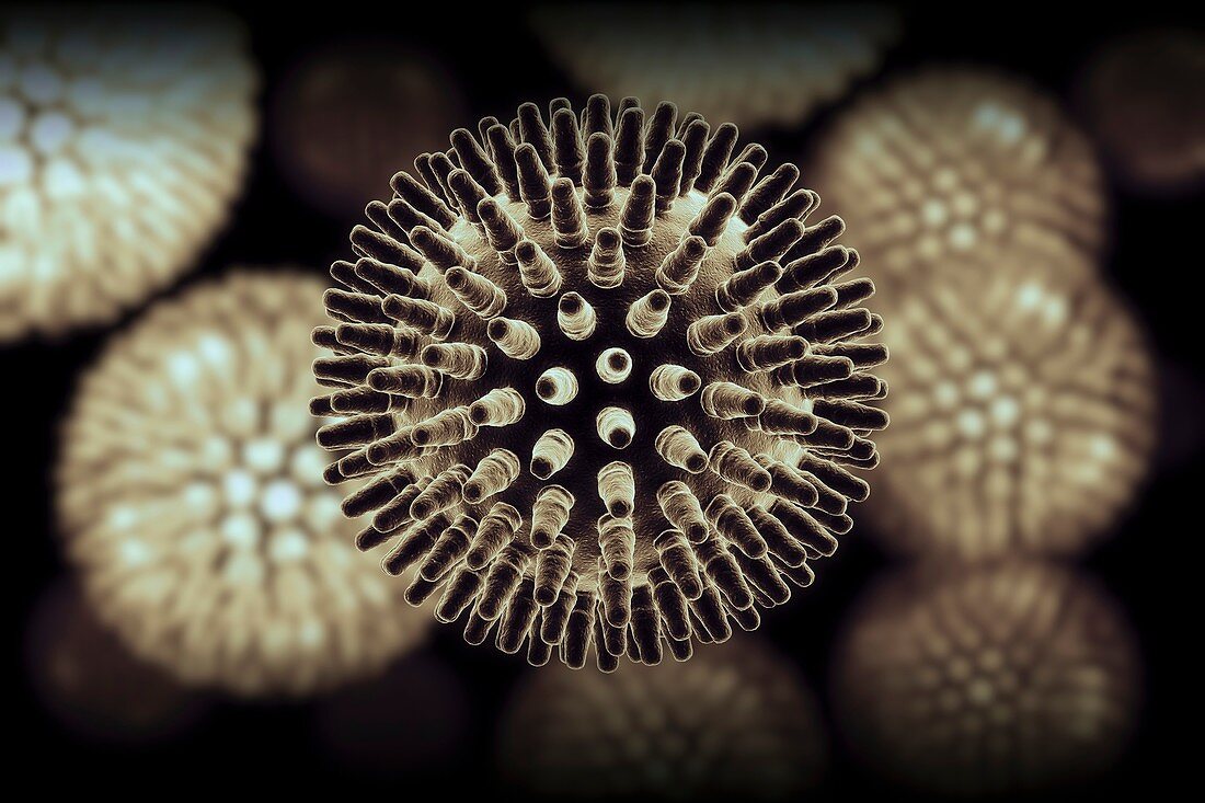 Swine Influenza Virus (H1N1), artwork