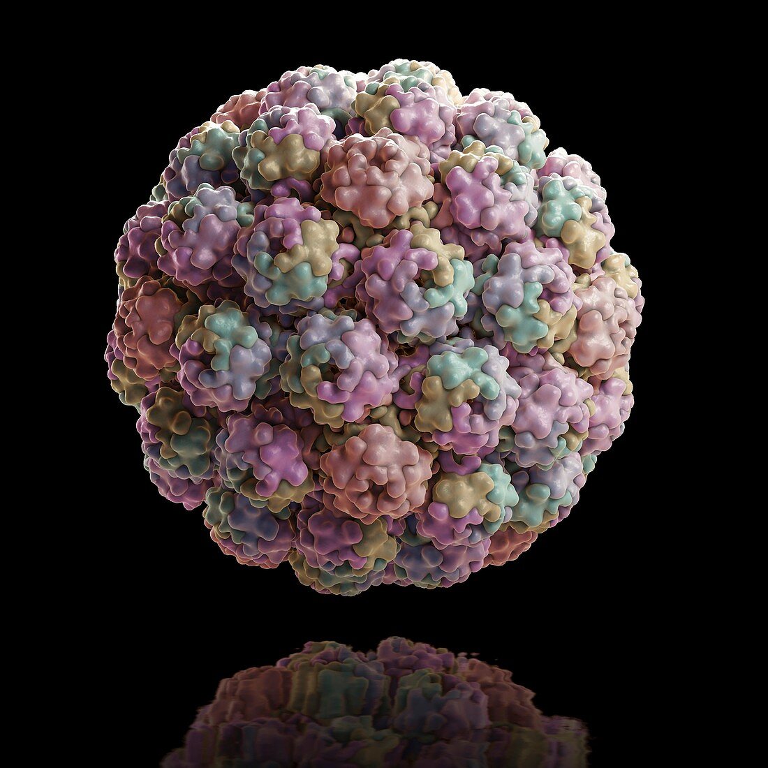 Murine Polyomavirus, artwork