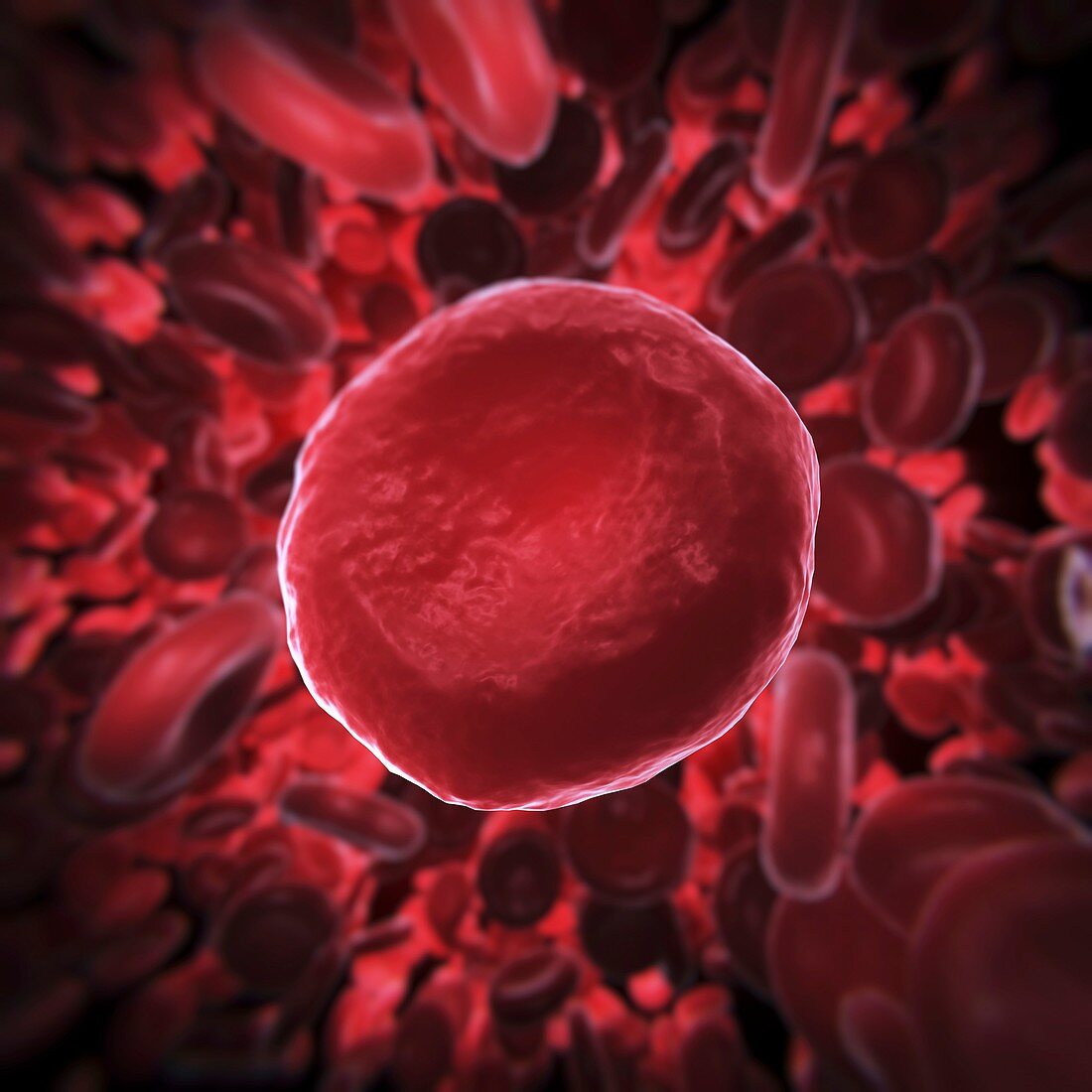 Red Blood Cells, artwork