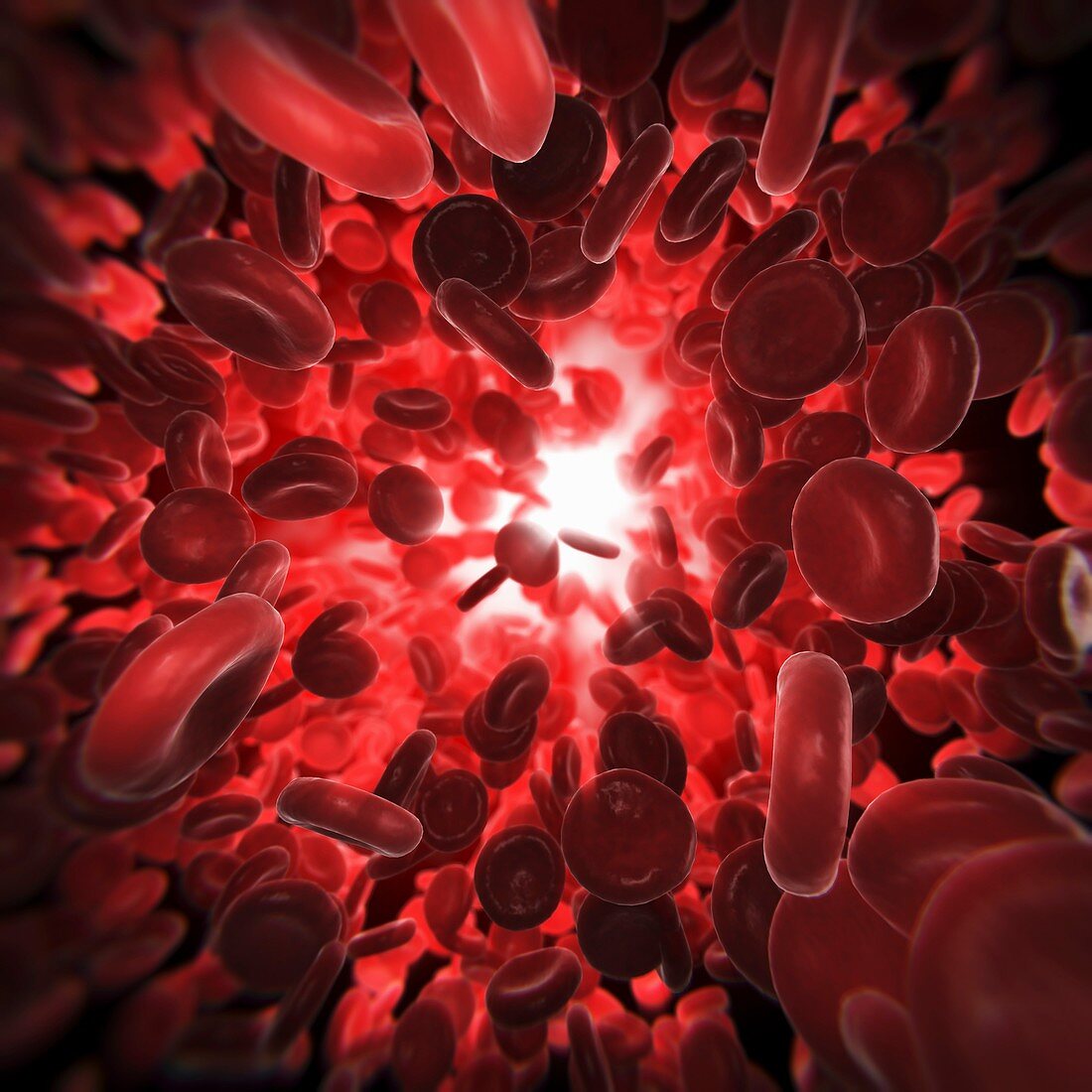 Red Blood Cells, artwork