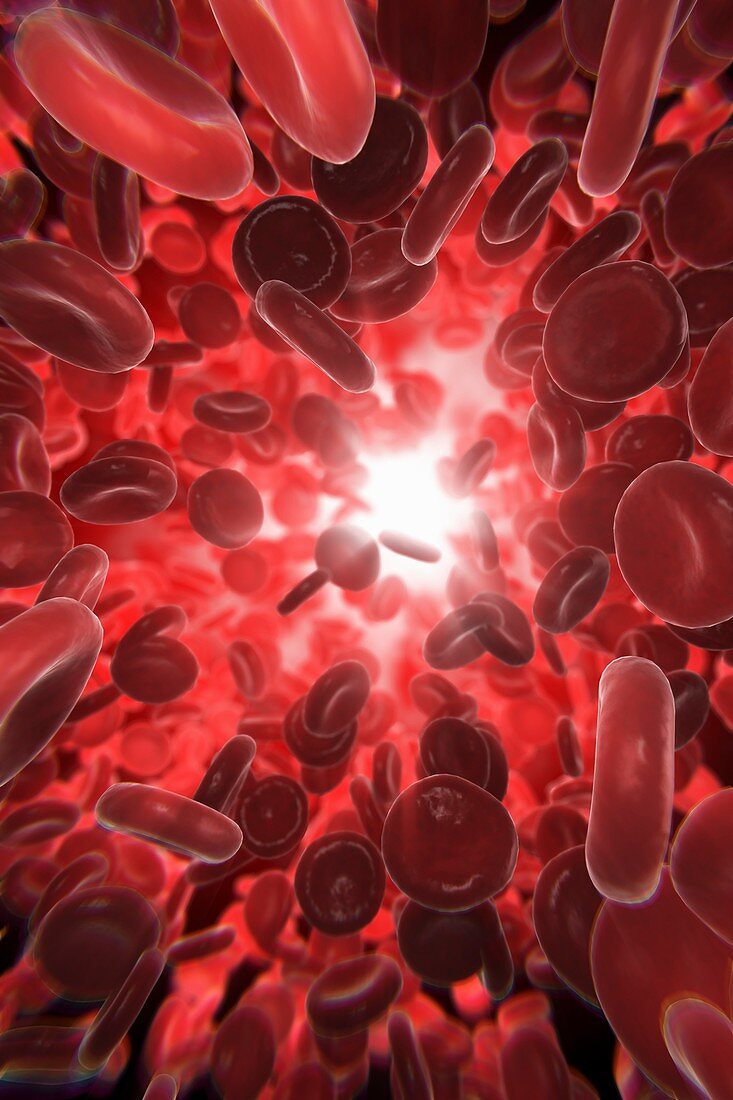 Red Blood Cells, artwork