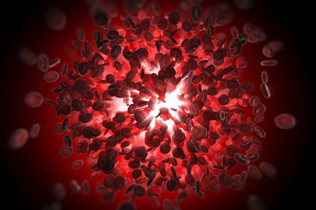 Red Blood Cells, artwork