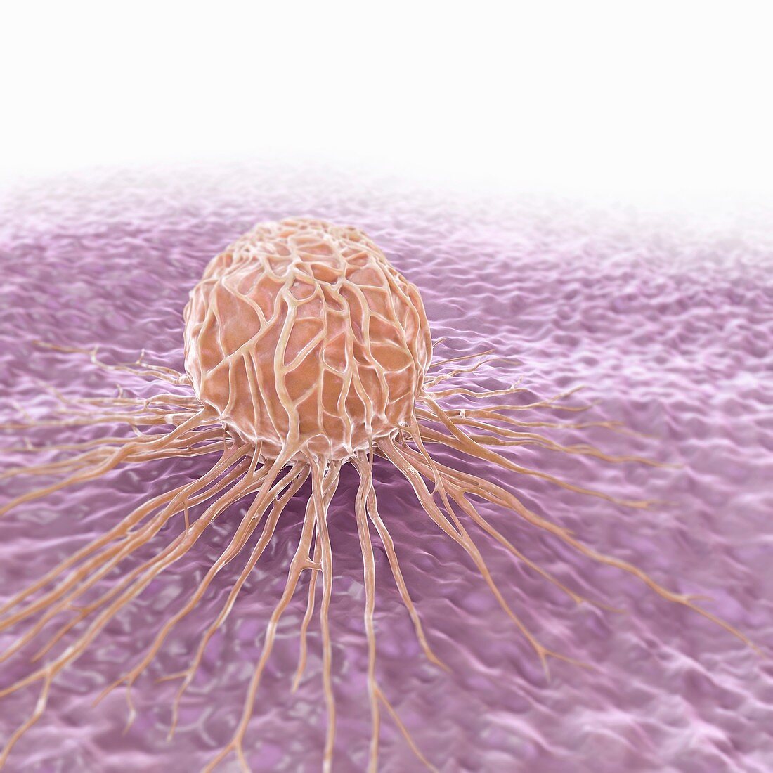 Breast Cancer Cell, artwork