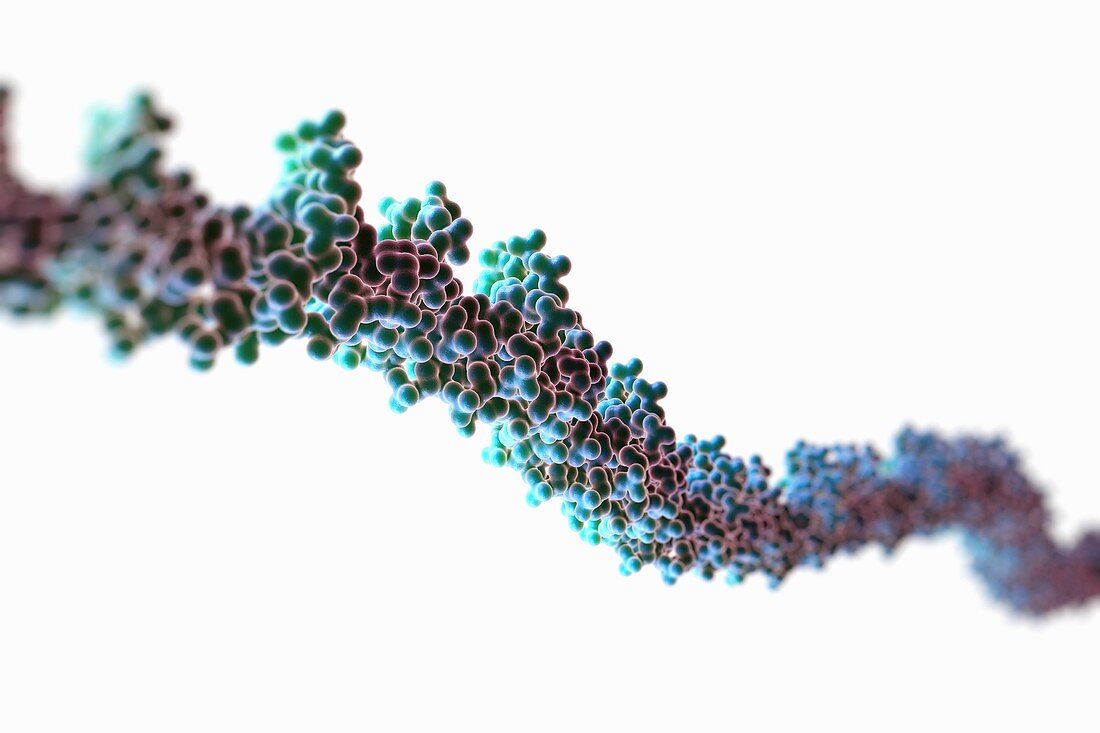 Human DNA, artwork
