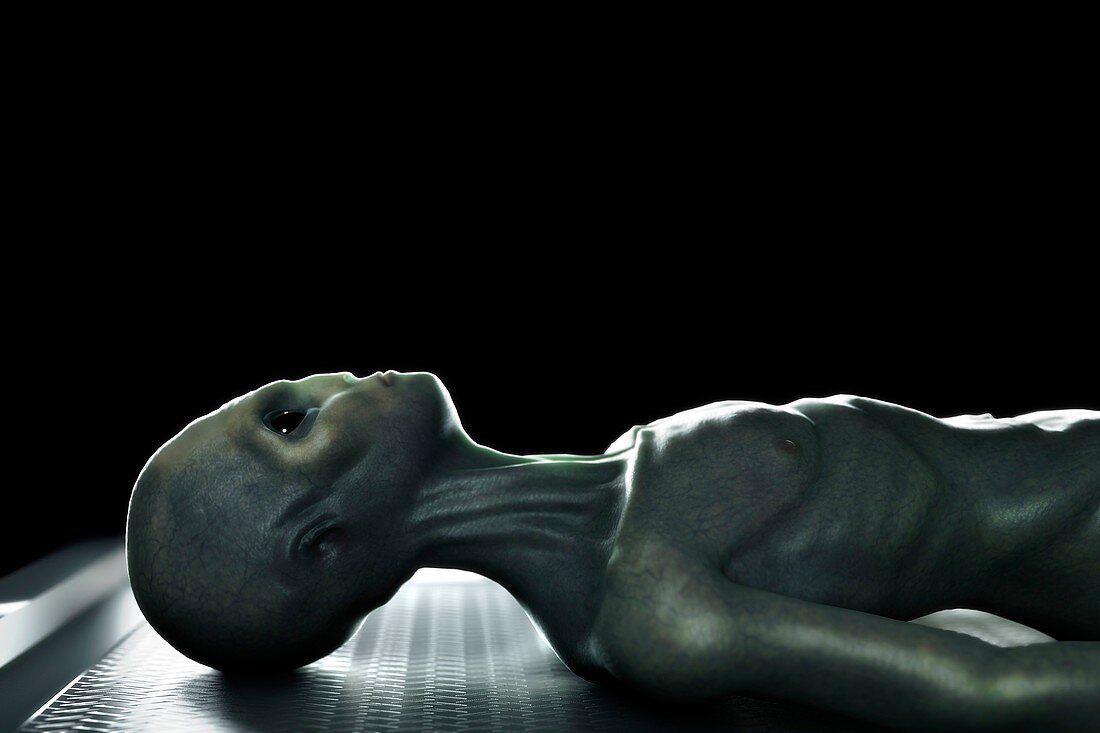 Alien Autopsy, artwork