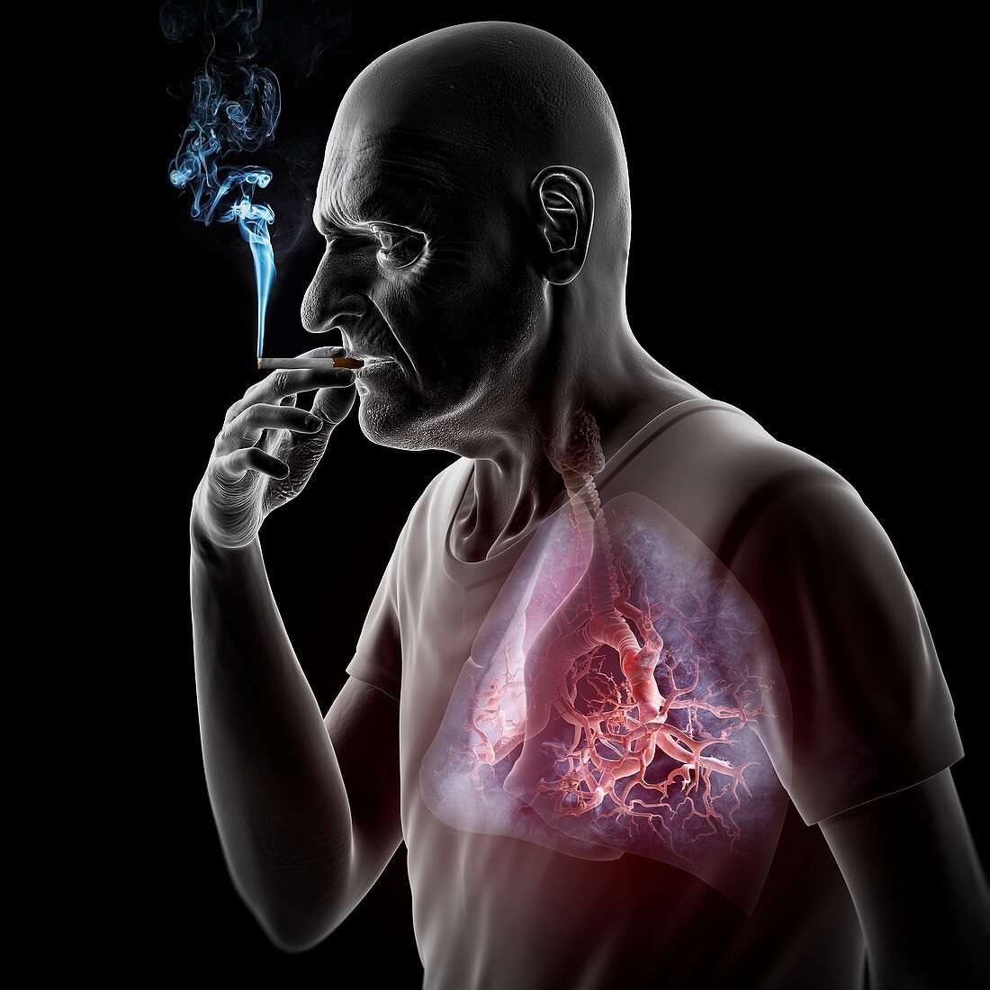 Dangers of Smoking, artwork