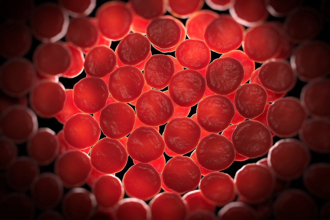 Red Blood Cells, artwork