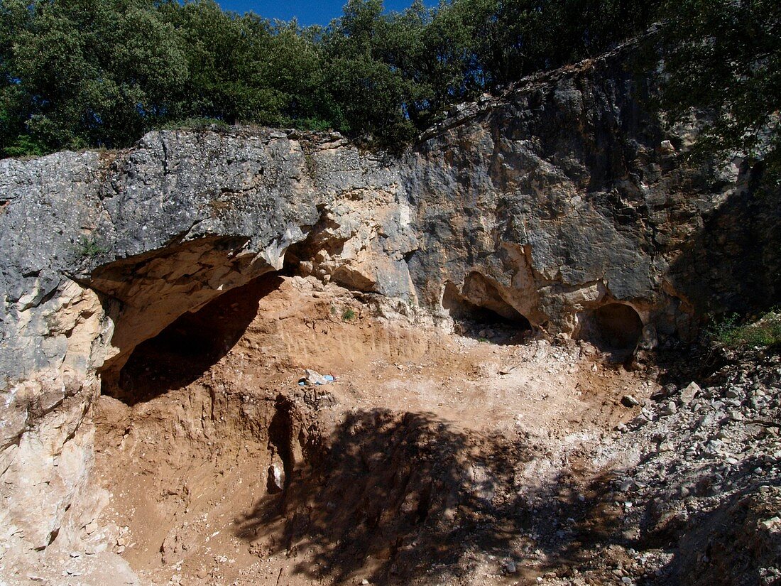 Cueva Fantasma fossil site, Spain