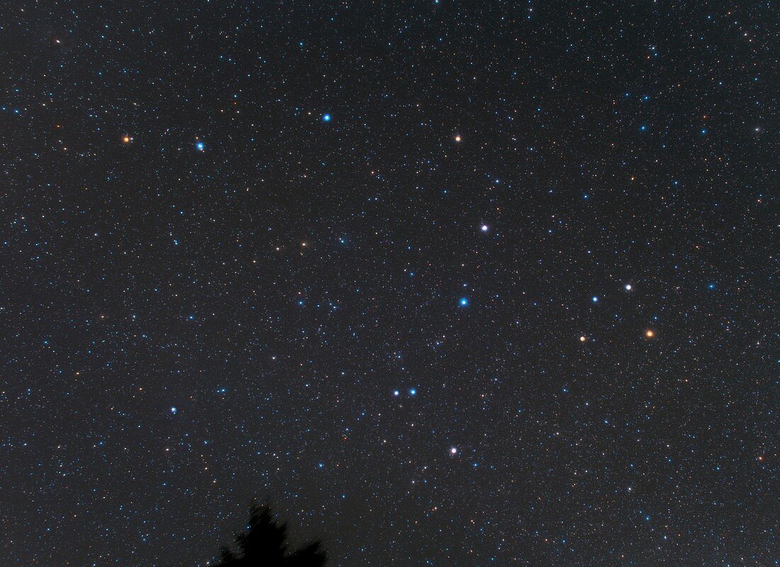 Constellation of Draco