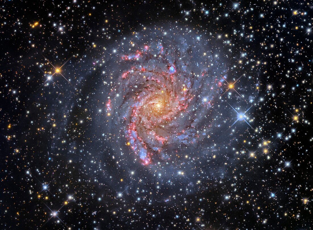 Spiral galaxy NGC 6946, optical image