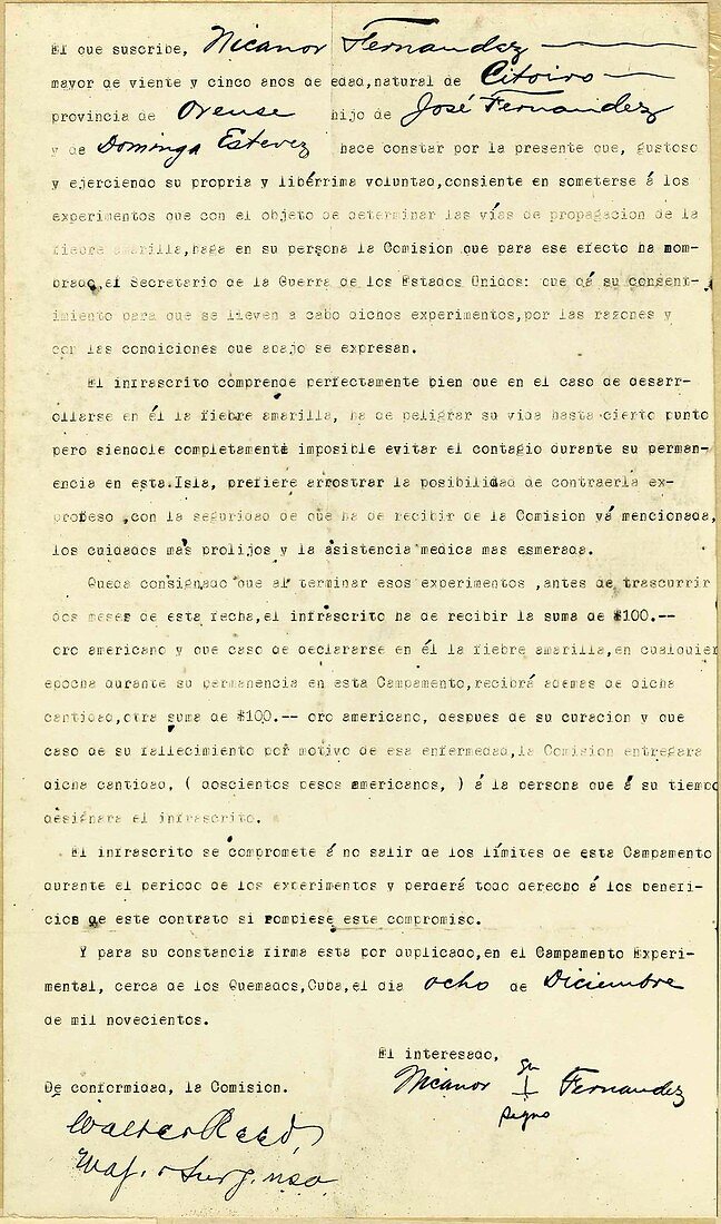 Yellow fever experimental subject contract, 1900