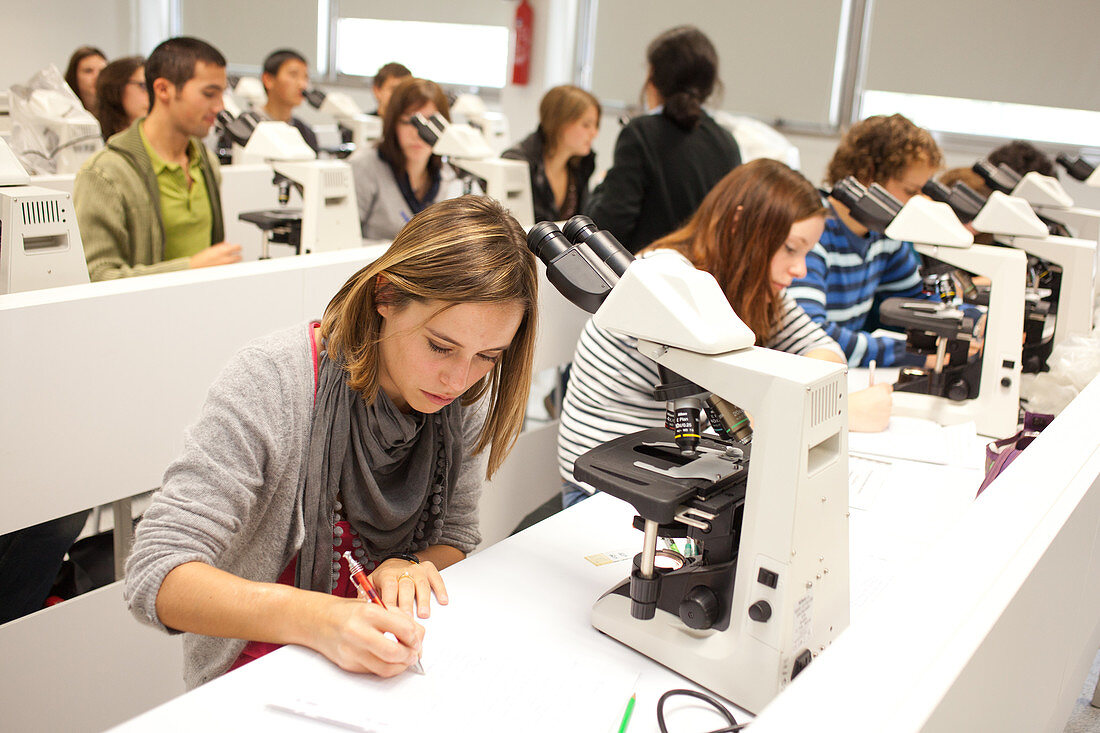 Students at university class