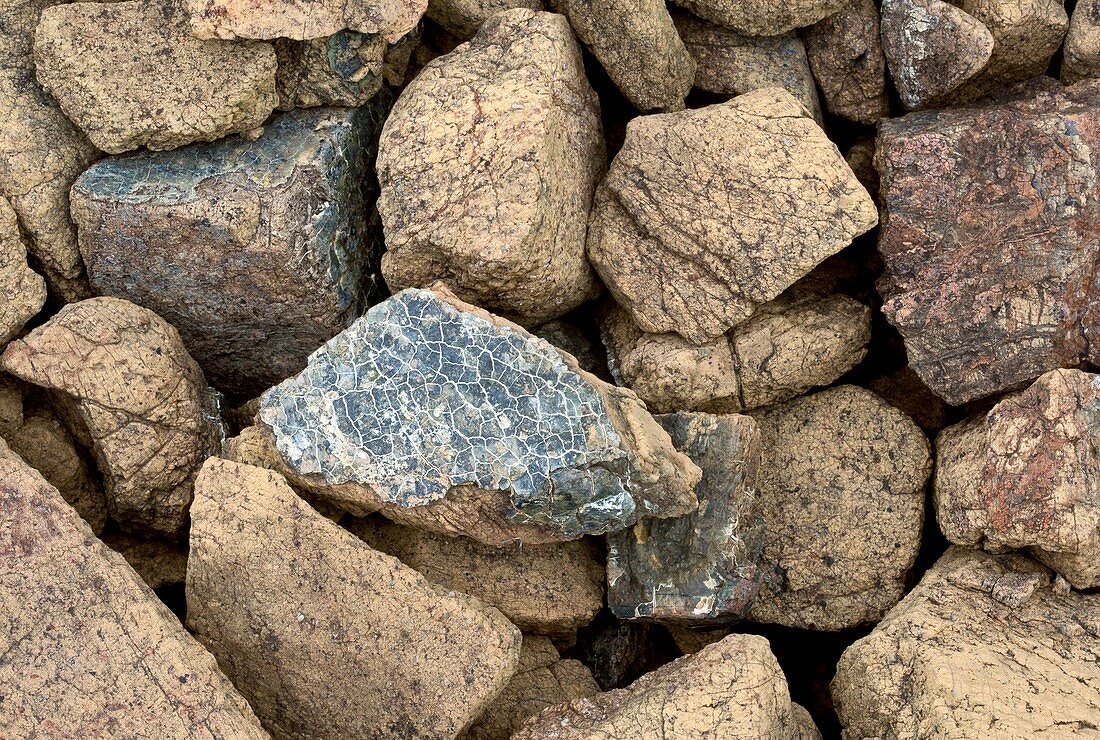 Lizardite in serpentine rock