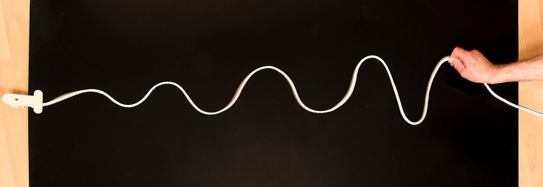 Shaking a rope produces waves.