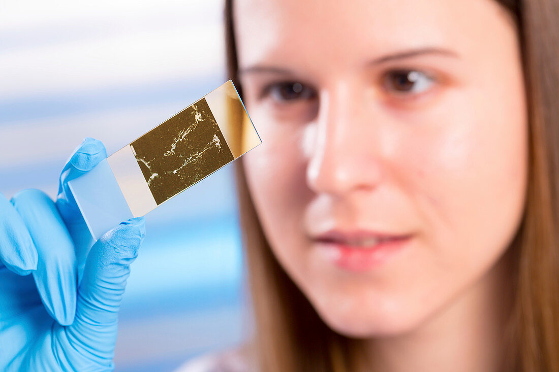 Young woman holding microscope slide