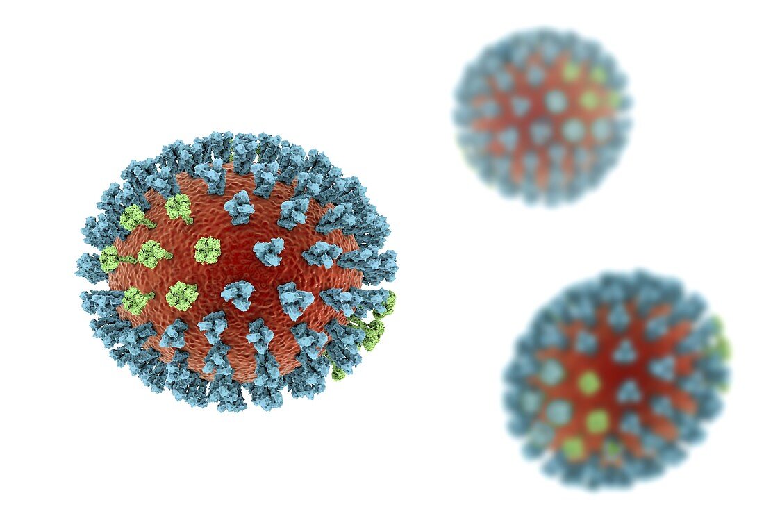 Bird flu virus, illustration