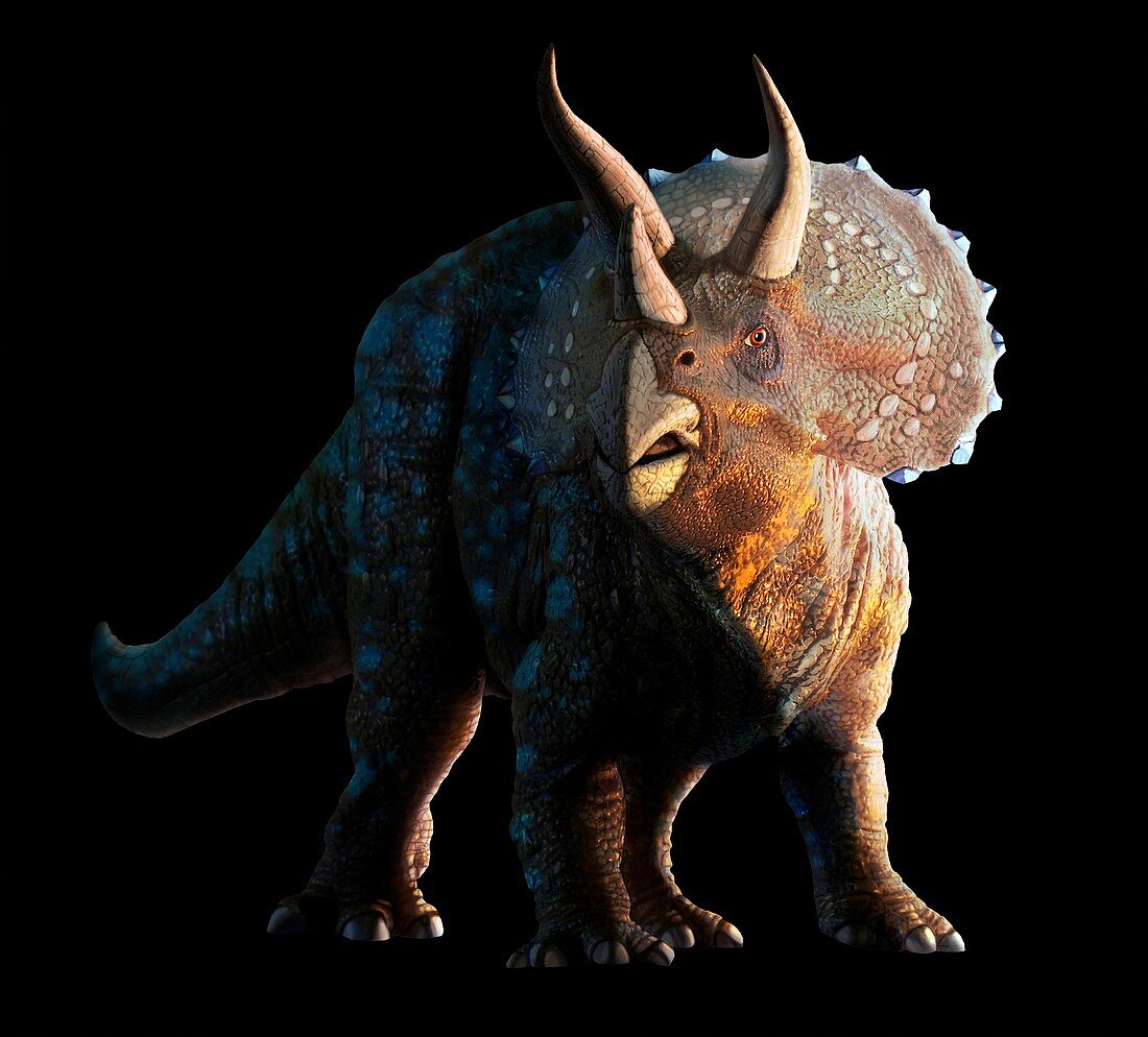 Artwork of a triceratops