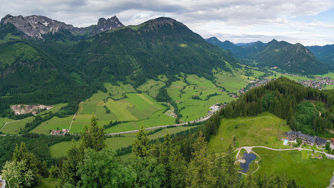 Green fields and trees in the Swiss Alps