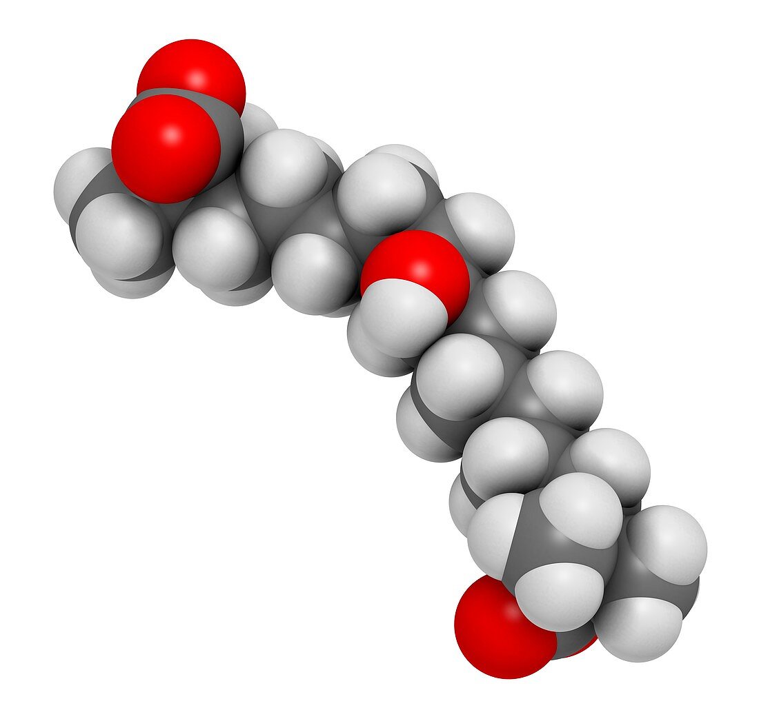 Bempedoic acid drug molecule, illustration