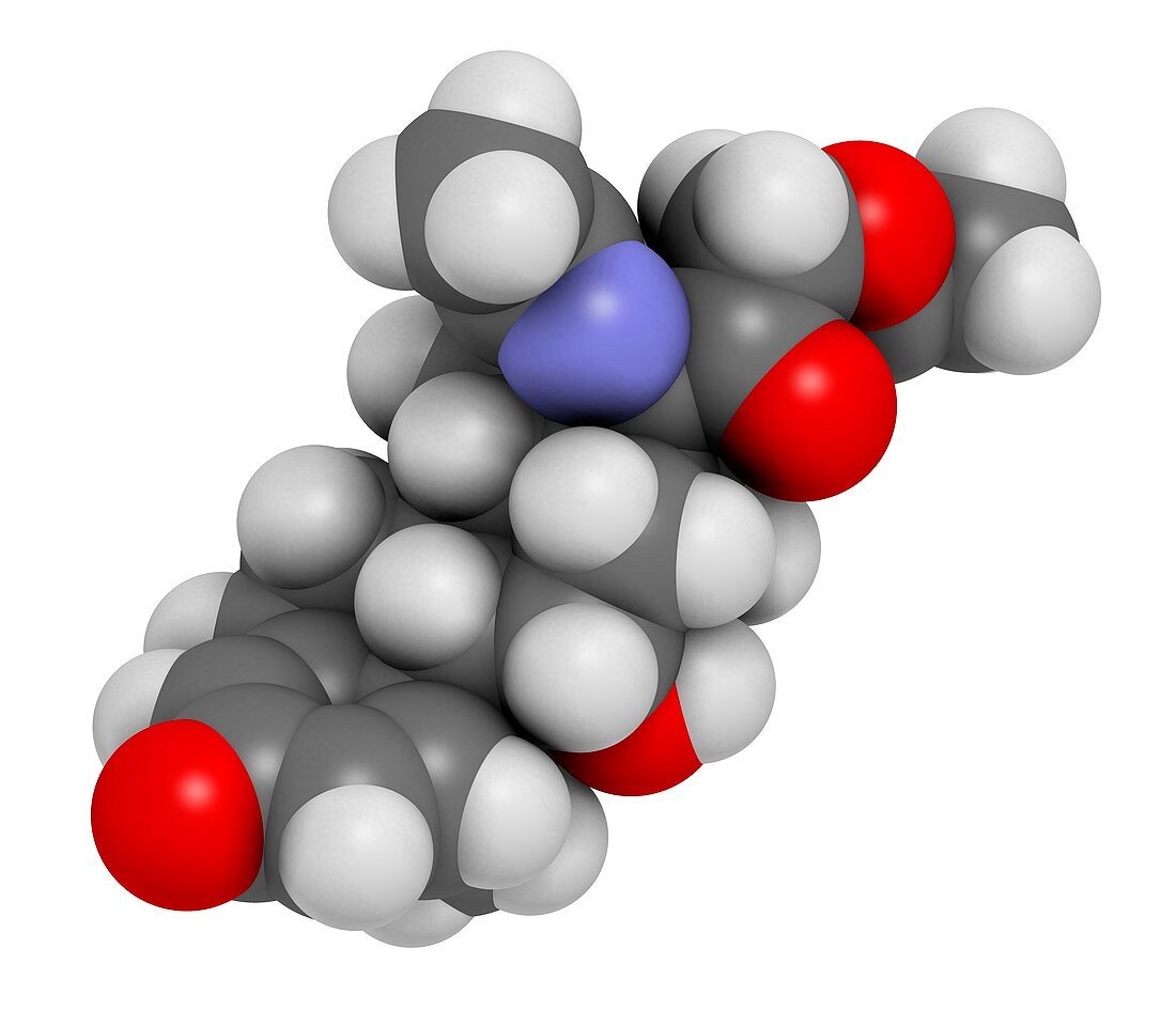 Deflazacort molecule, illustration