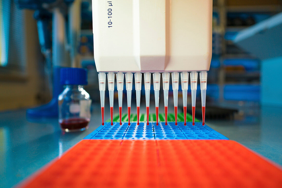 Multipipette