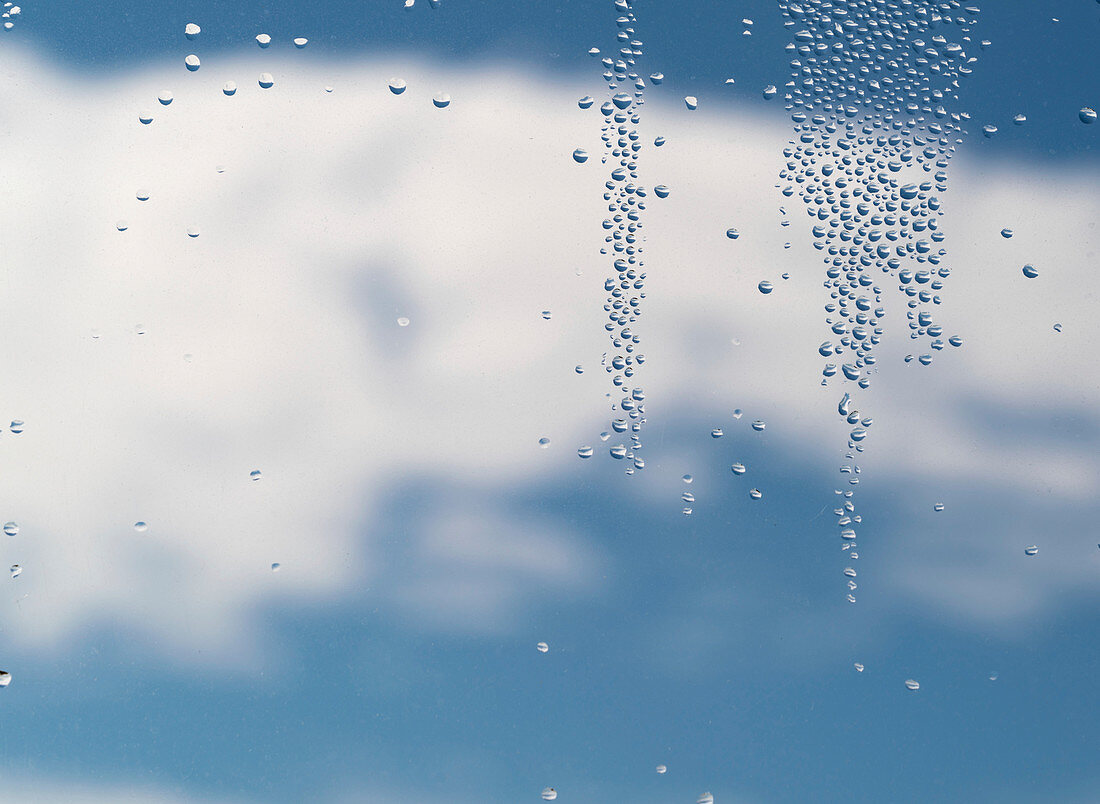 Water droplets on a window pane