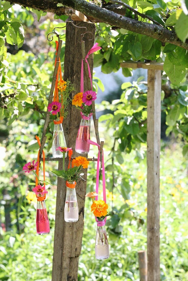 Arrangement of flowers in Campari bottles hung from metal frame