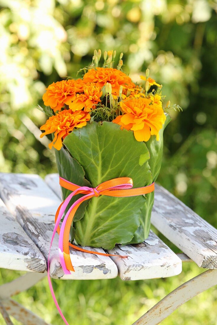 Tagetes mit grünen Blättern und Geschenkbändern