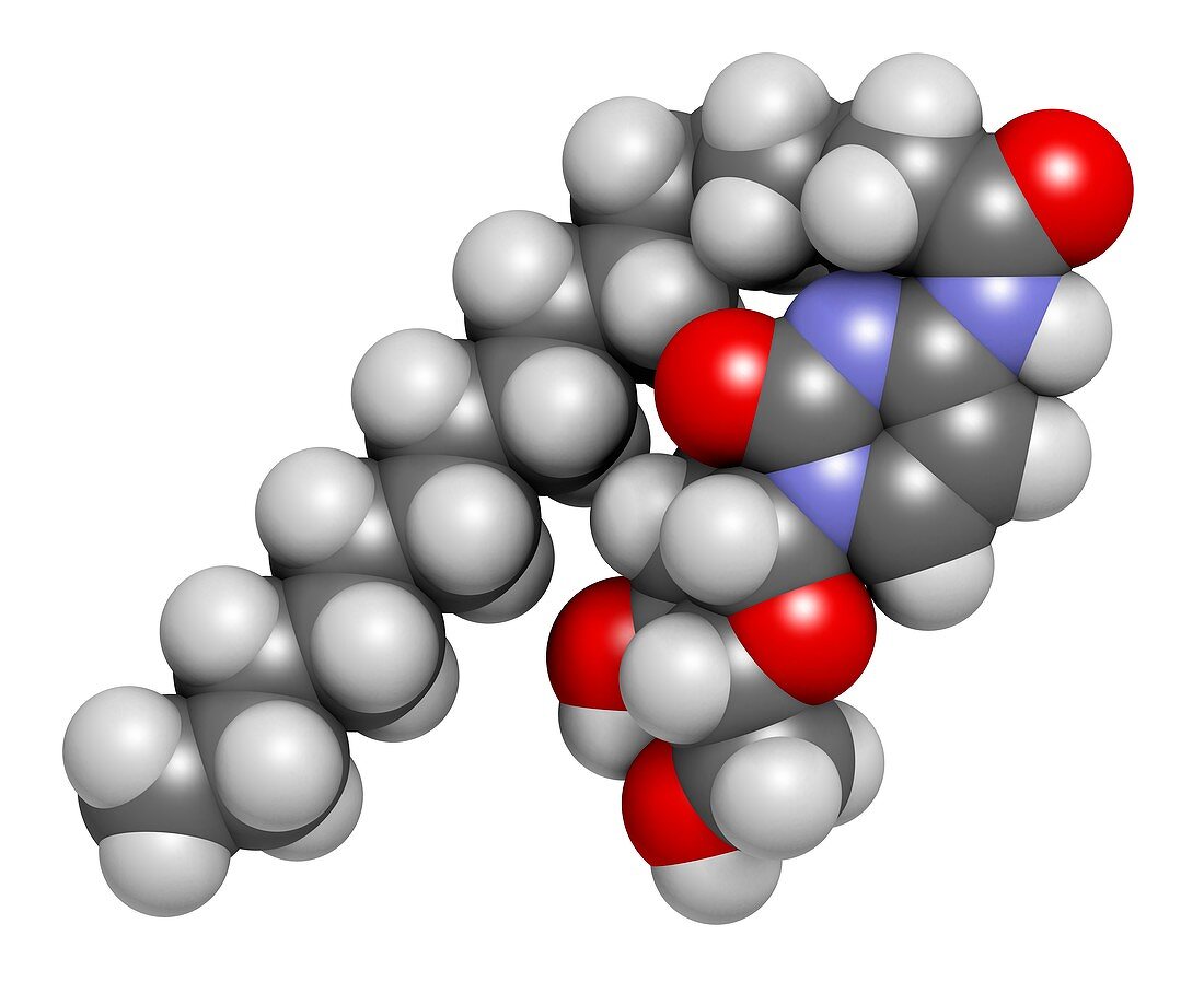Sapacitabine cancer drug molecule, illustration