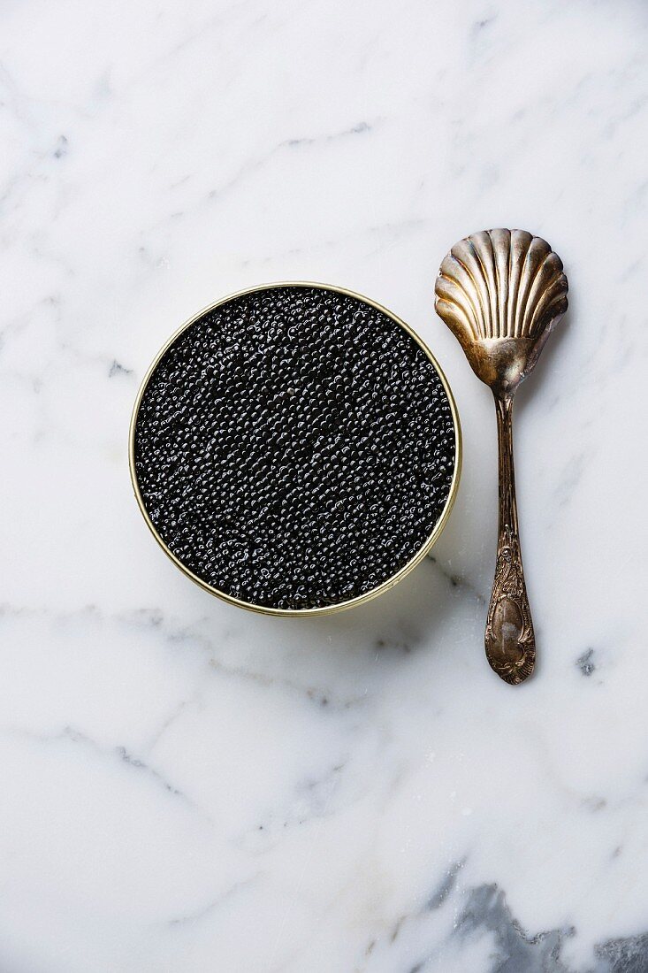 Schwarzer Kaviar vom Stör in Dose und Silberlöffel auf weißem Marmor Hintergrund