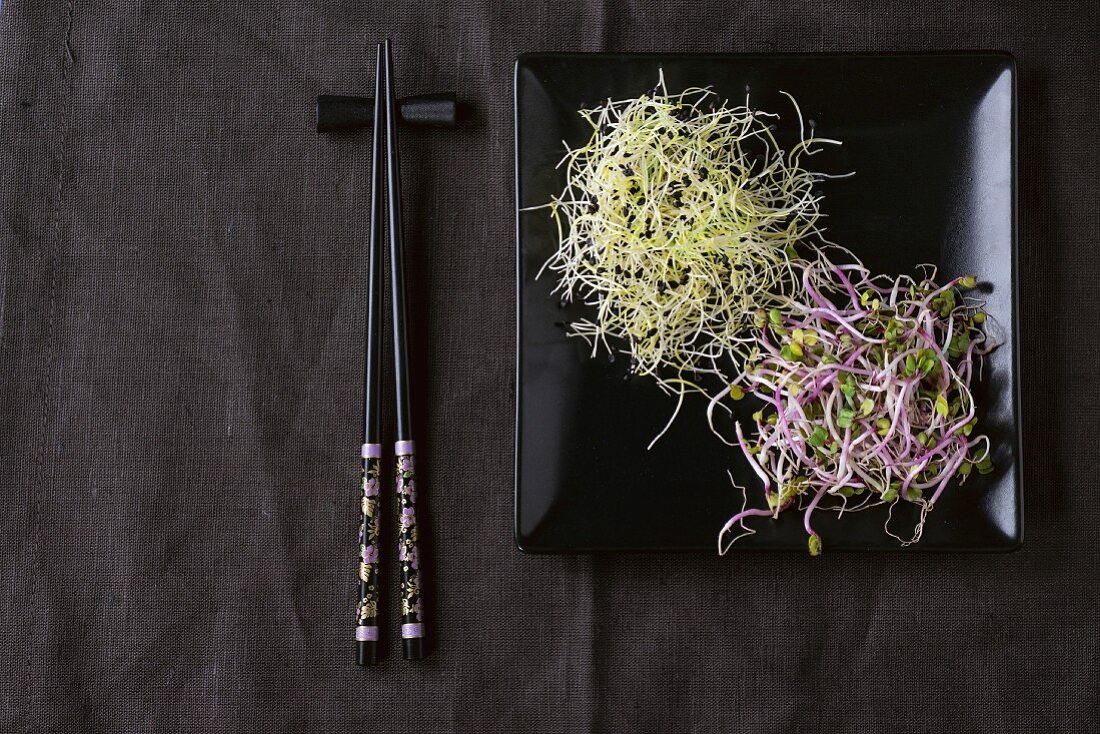 Fresh Garlic and Radish Sprouts on black square plate with chopsticks over dark gray textile