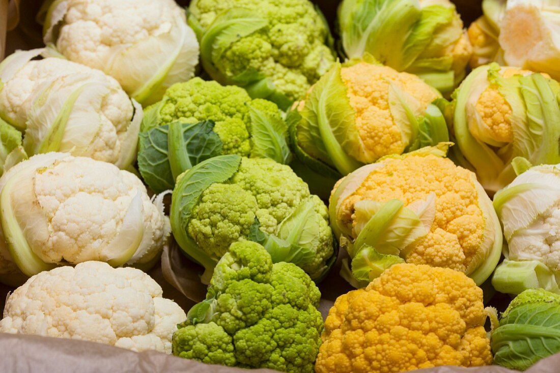 Tricolor baby cauliflower