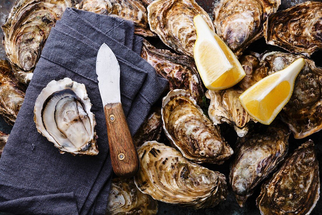 Oysters background with Open Oyster and knife