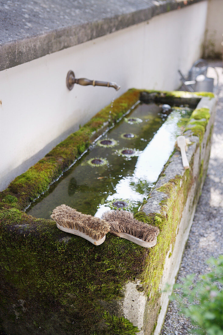 Scrubbing brushes on edge of mossy drinking trough with water spout