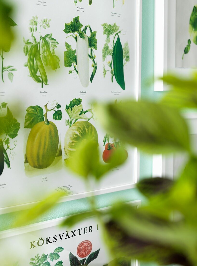 Vegetable poster in white picture frame