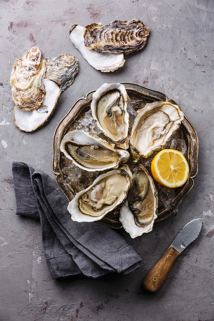 Open Oysters on metal plate with ice and lemon