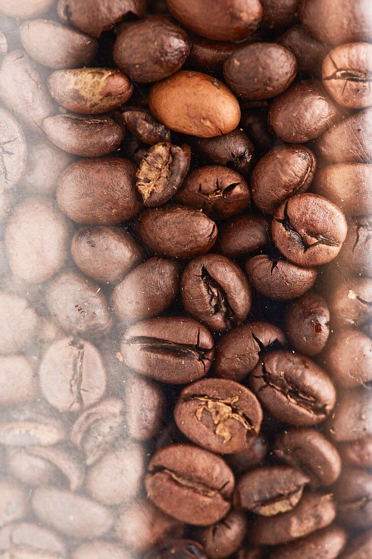 Unground coffee beans in a transparent container