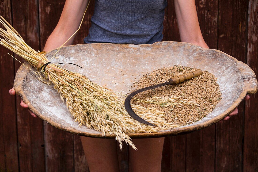 A woman holding a wooden tray with wheat and a sickle