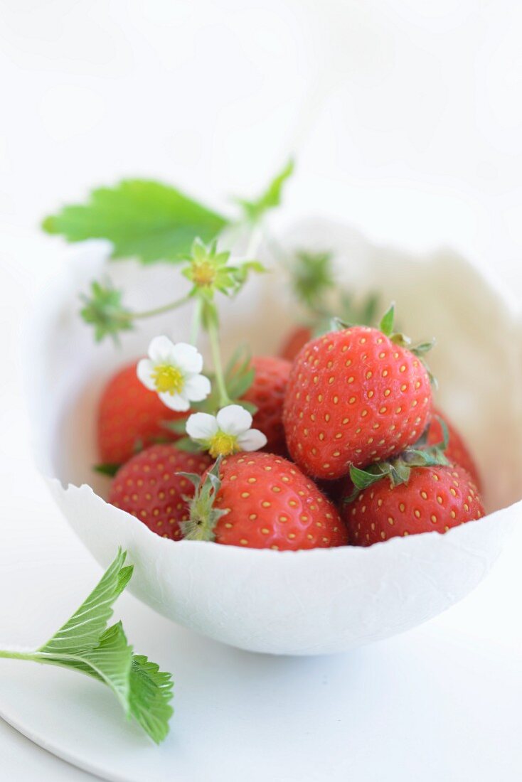 Frische Erdbeeren mit Blüten in einer Schale