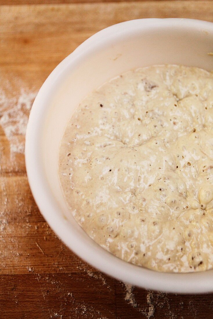 Sourdough starter during the proofing phase