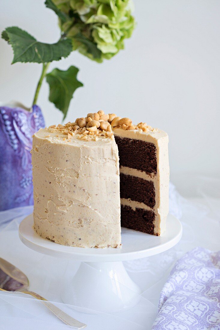 Chocolate and peanut cake, sliced