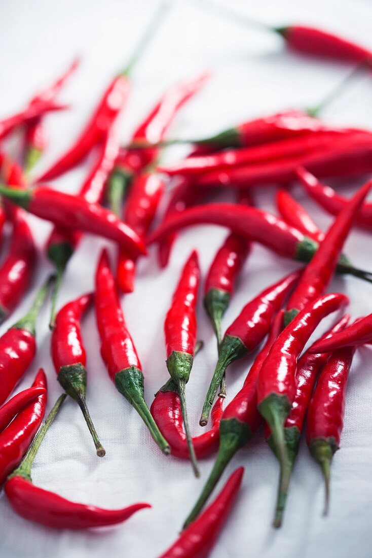 Fresh red chillies