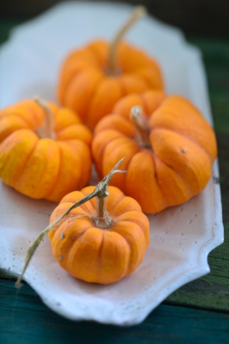 Four small pumpkins on ceramic plate