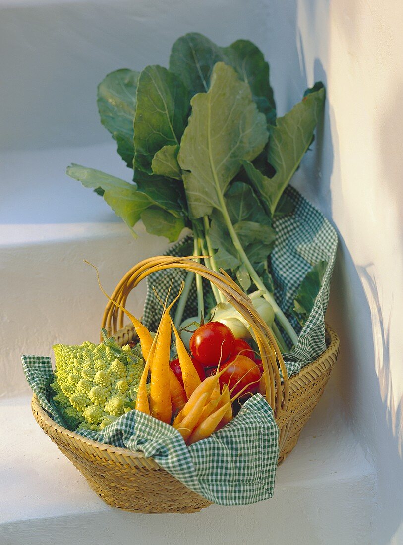 Basket of vegetables: carrots, romanesco, tomatoes