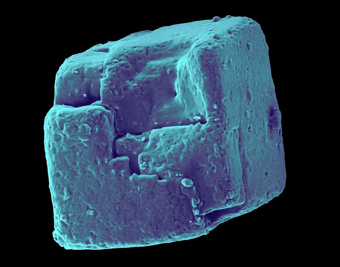 Table salt crystal (NaCl), SEM